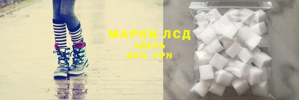 тгк Новодвинск
