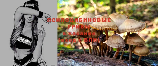 тгк Новодвинск