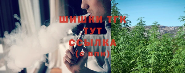 тгк Новодвинск